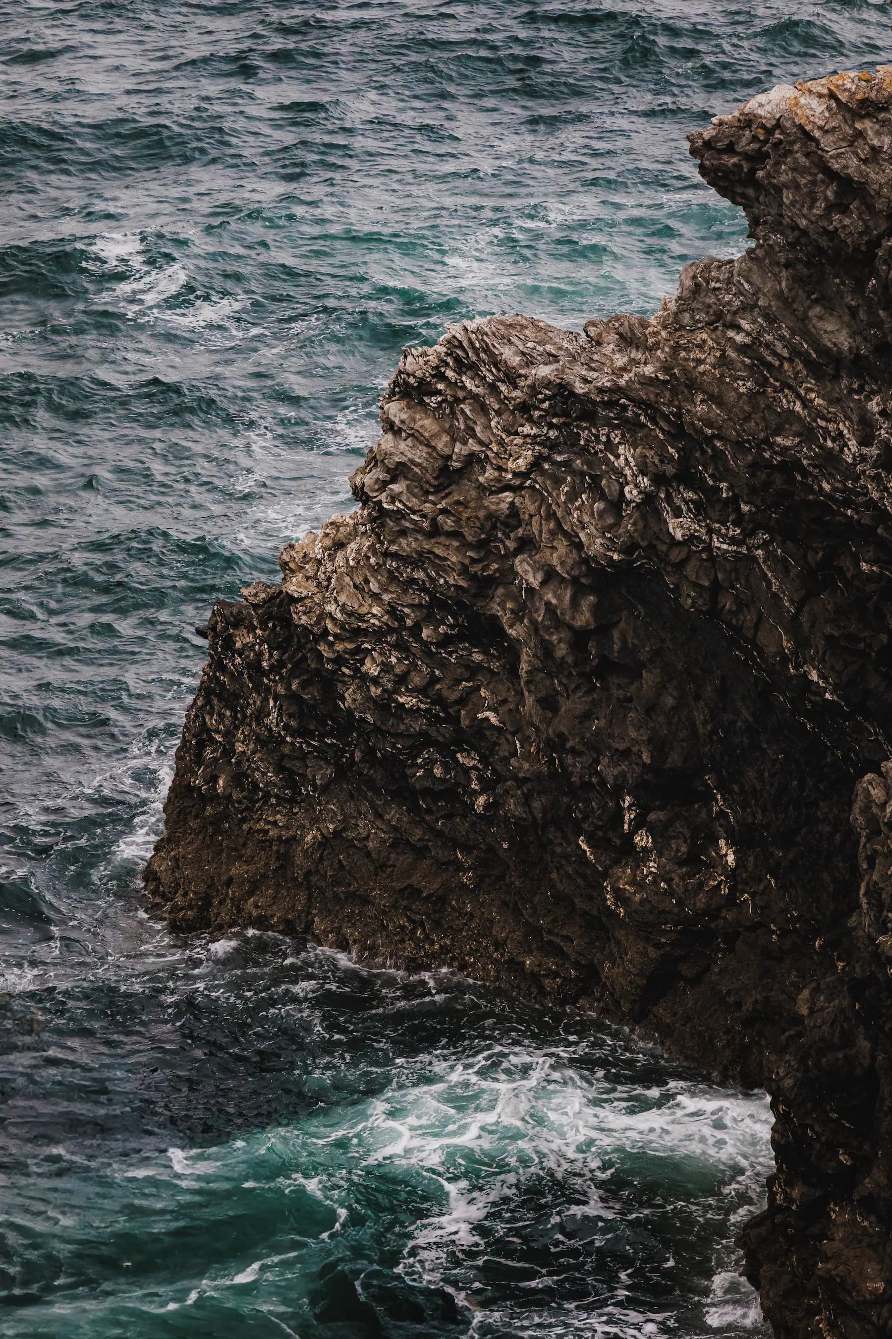 Nature & architecture - photo 14 par Alexis Yvonnou
