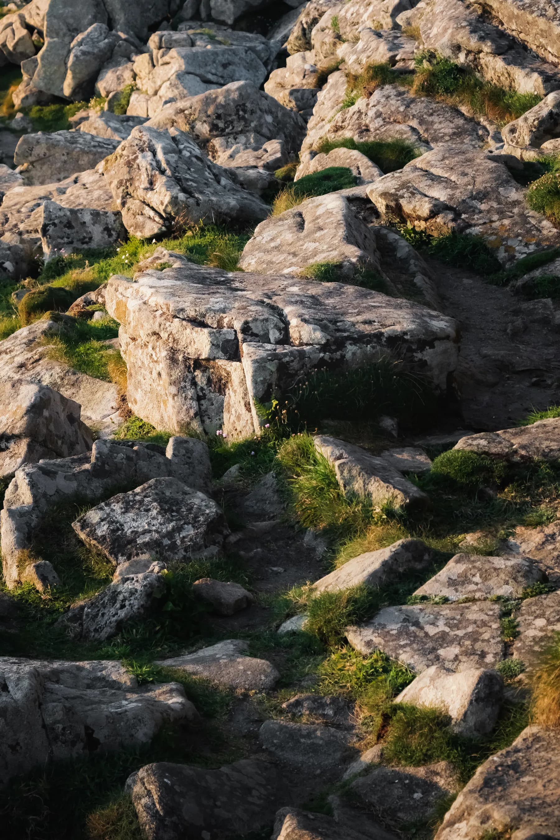 Nature & architecture - photo 17 par Alexis Yvonnou