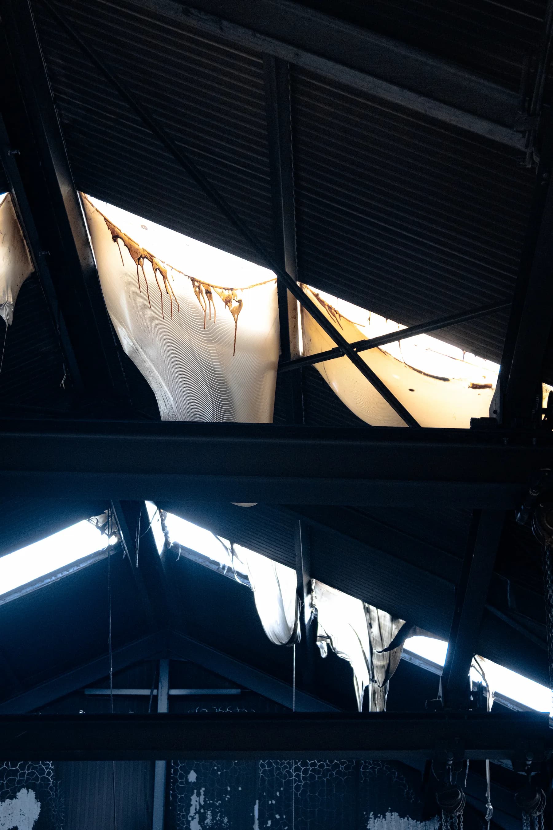 Nature & architecture - photo 6 par Alexis Yvonnou